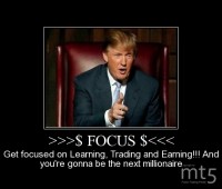 >>>$ FOCUS $<<<